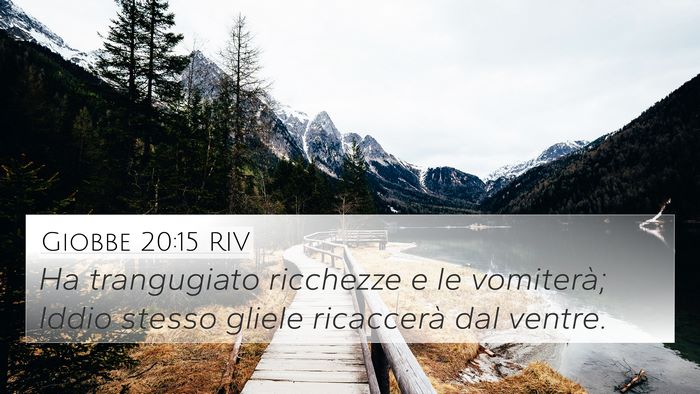 Giobbe 20:15 RIV Bible Verse Image