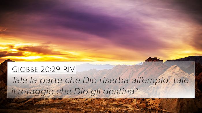 Giobbe 20:29 RIV Bible Verse Image