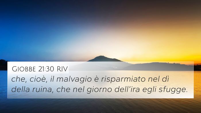 Giobbe 21:30 RIV Bible Verse Image