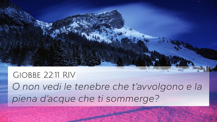 Giobbe 22:11 RIV Bible Verse Image