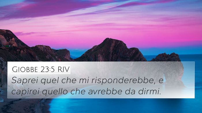 Giobbe 23:5 RIV Bible Verse Image