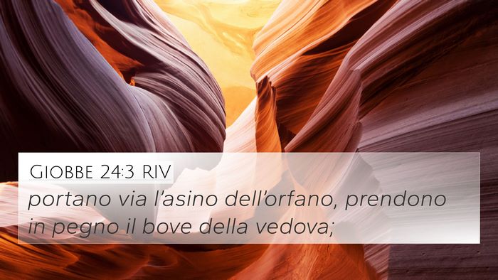 Giobbe 24:3 RIV Bible Verse Image