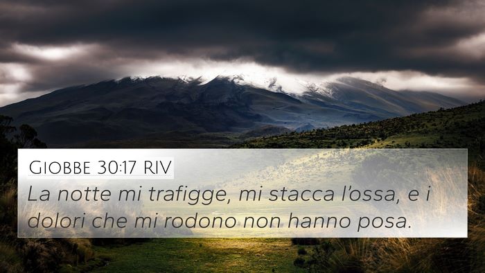 Giobbe 30:17 RIV Bible Verse Image