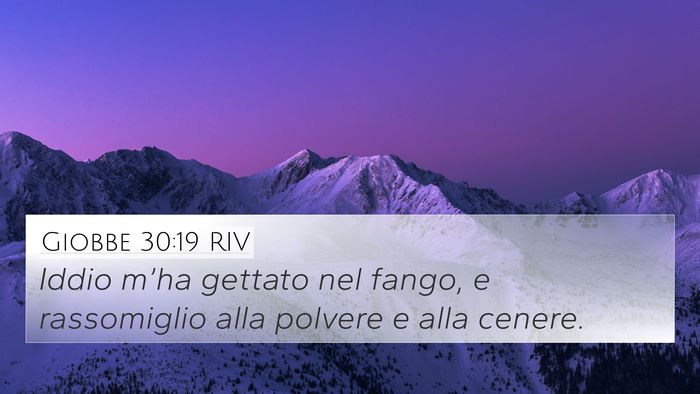 Giobbe 30:19 RIV Bible Verse Image