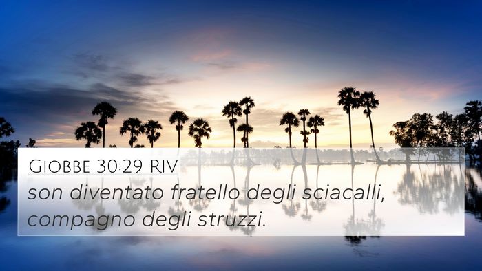 Giobbe 30:29 RIV Bible Verse Image