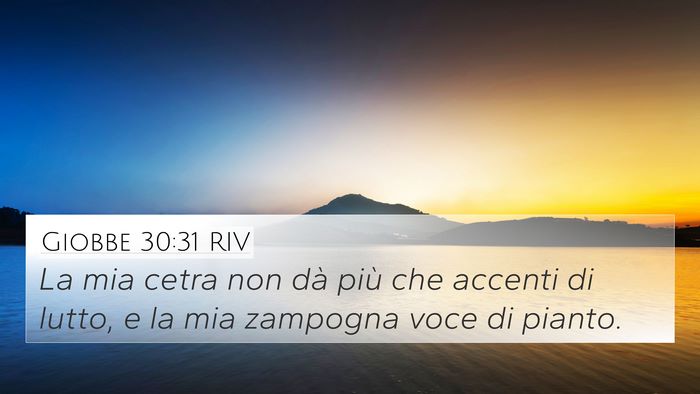 Giobbe 30:31 RIV 4K Wallpaper - La mia cetra non dà più che accenti di lutto, e - 4K Wallpaper Bible Verse