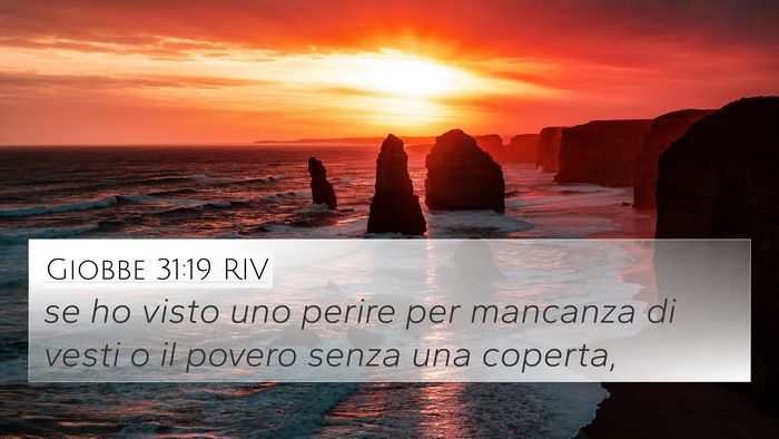 Giobbe 31:19 RIV Bible Verse Image