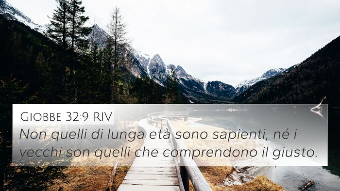 Giobbe 32:9 RIV Bible Verse Image