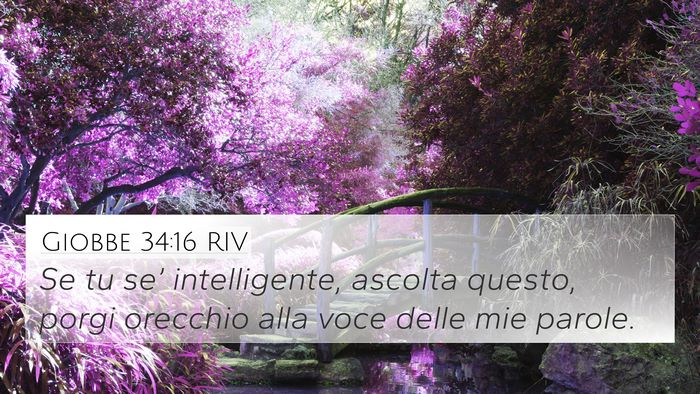 Giobbe 34:16 RIV Bible Verse Image