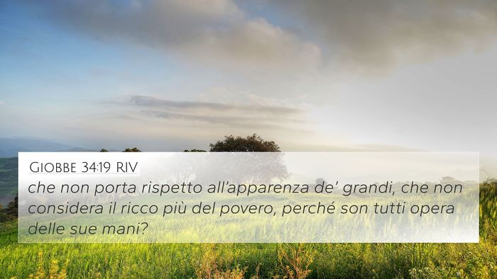 Giobbe 34:19 RIV Bible Verse Image