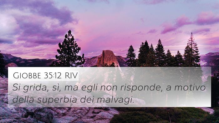 Giobbe 35:12 RIV Bible Verse Image