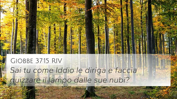 Giobbe 37:15 RIV 4K Wallpaper - Sai tu come Iddio le diriga e faccia guizzare il - 4K Wallpaper Bible Verse