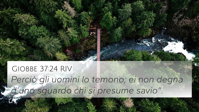 Giobbe 37:24 RIV Bible Verse Image