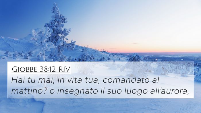 Giobbe 38:12 RIV Bible Verse Image