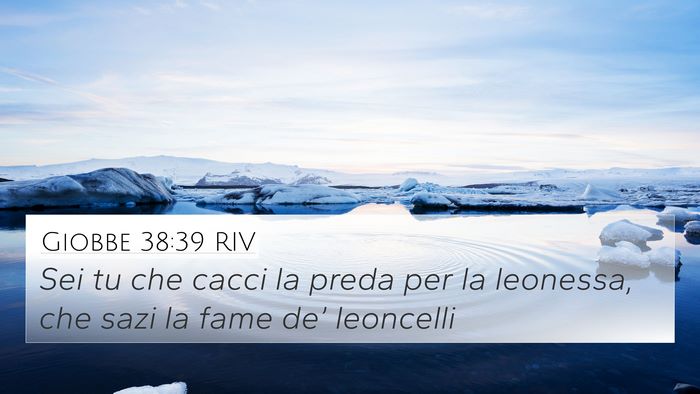 Giobbe 38:39 RIV Bible Verse Image