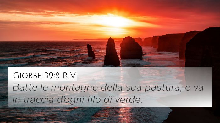 Giobbe 39:8 RIV Bible Verse Image