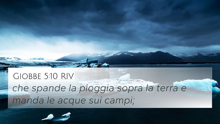 Giobbe 5:10 RIV Bible Verse Image