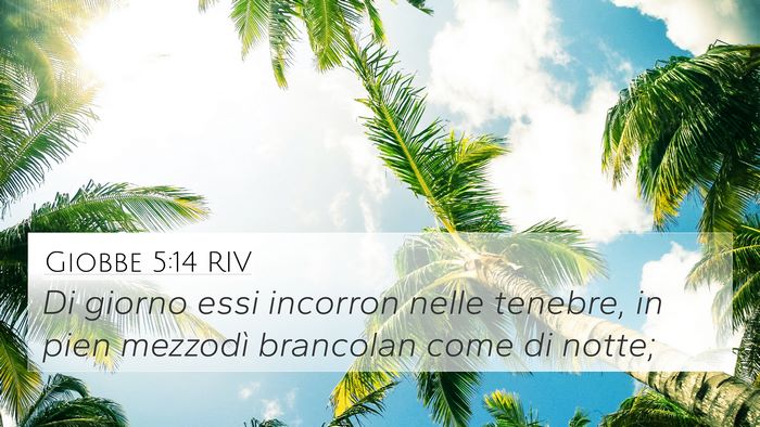 Giobbe 5:14 RIV Bible Verse Image