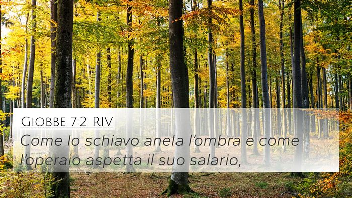 Giobbe 7:2 RIV 4K Wallpaper - Come lo schiavo anela l’ombra e come - 4K Wallpaper Bible Verse