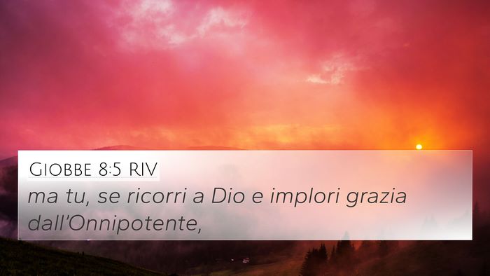 Giobbe 8:5 RIV Bible Verse Image