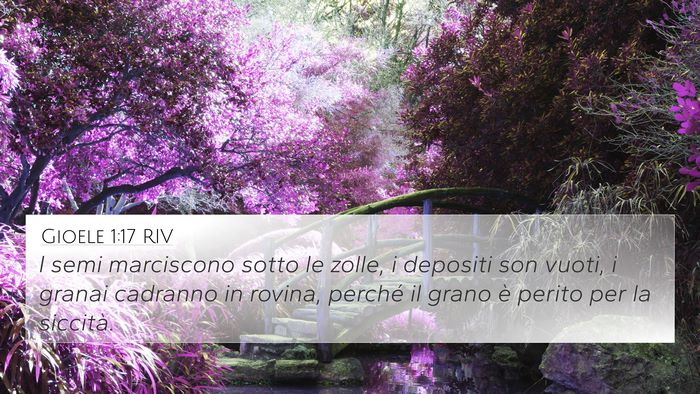 Gioele 1:17 RIV Bible Verse Image