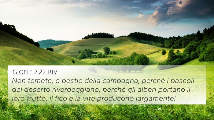Gioele 2:22 RIV 4K Wallpaper - Non temete, o bestie della campagna, perché i - 4K Wallpaper Bible Verse