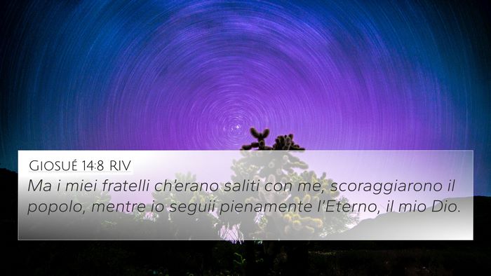 Giosué 14:8 RIV Bible Verse Image