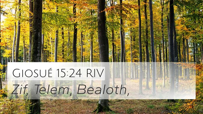 Giosué 15:24 RIV Bible Verse Image