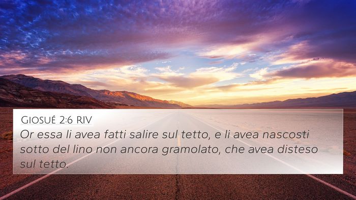 Giosué 2:6 RIV Bible Verse Image
