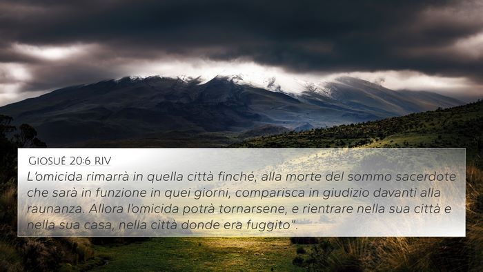 Giosué 20:6 RIV Bible Verse Image
