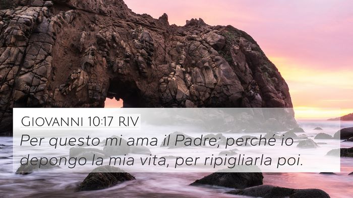 Giovanni 10:17 RIV Bible Verse Image