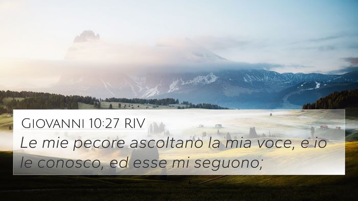 Giovanni 10:27 RIV Bible Verse Image