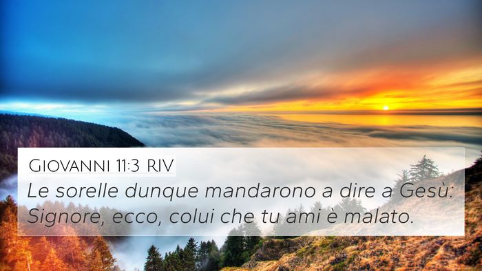 Giovanni 11:3 RIV Bible Verse Image