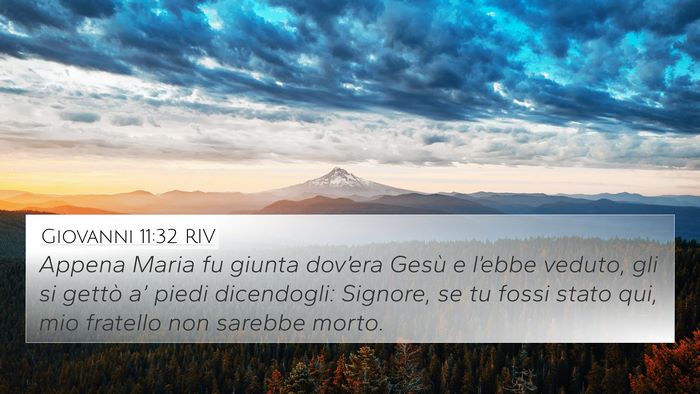 Giovanni 11:32 RIV Bible Verse Image