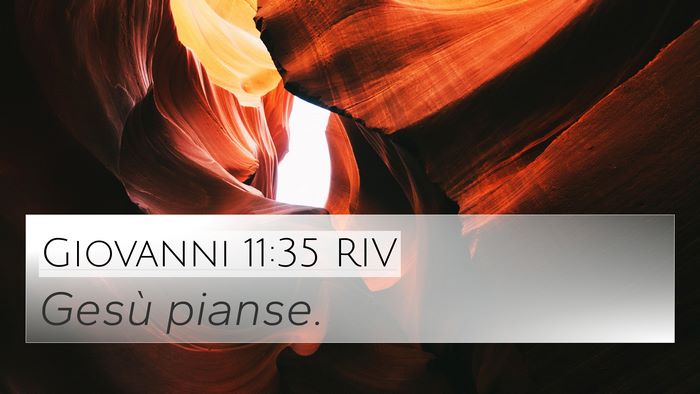 Giovanni 11:35 RIV Bible Verse Image