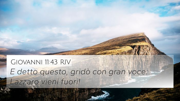Giovanni 11:43 RIV Bible Verse Image