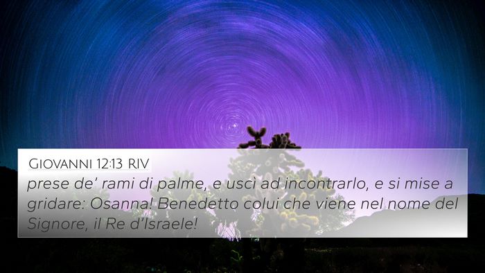 Giovanni 12:13 RIV Bible Verse Image