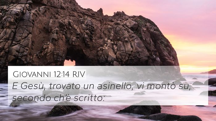 Giovanni 12:14 RIV Bible Verse Image