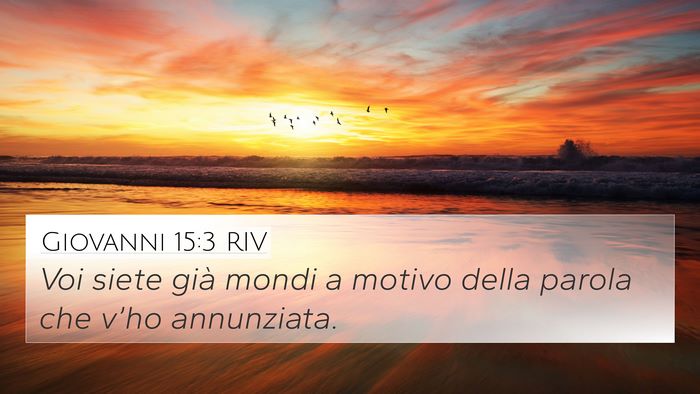 Giovanni 15:3 RIV Bible Verse Image