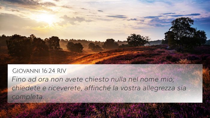 Giovanni 16:24 RIV Bible Verse Image