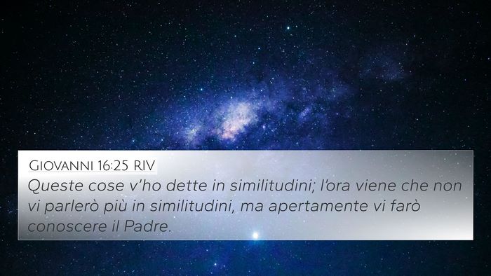Giovanni 16:25 RIV Bible Verse Image