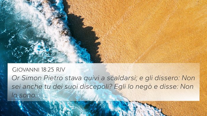 Giovanni 18:25 RIV Bible Verse Image