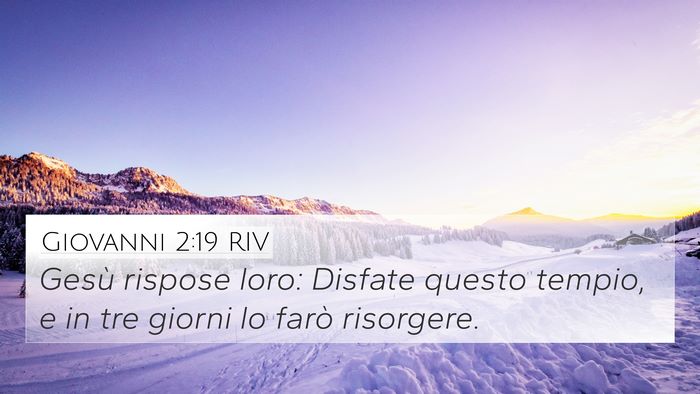 Giovanni 2:19 RIV Bible Verse Image