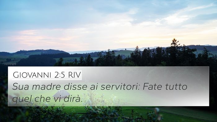 Giovanni 2:5 RIV Bible Verse Image