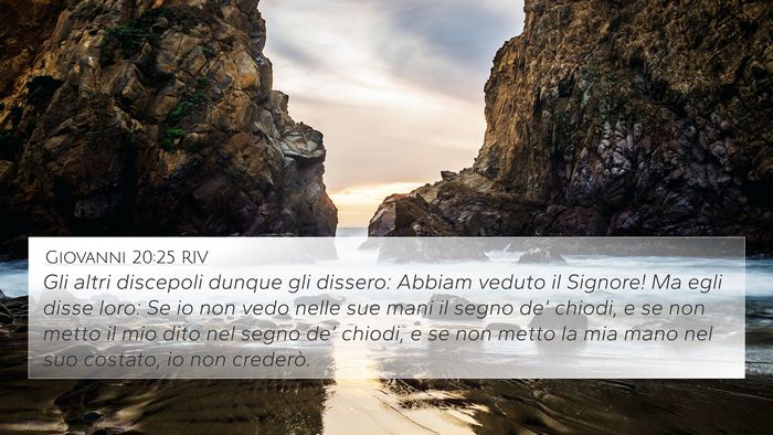 Giovanni 20:25 RIV Bible Verse Image