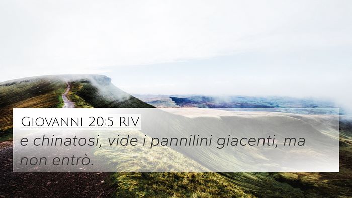 Giovanni 20:5 RIV Bible Verse Image