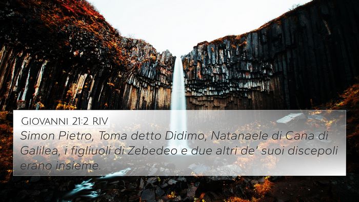 Giovanni 21:2 RIV Bible Verse Image