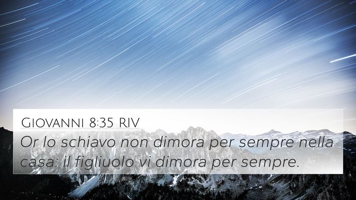 Giovanni 8:35 RIV Bible Verse Image
