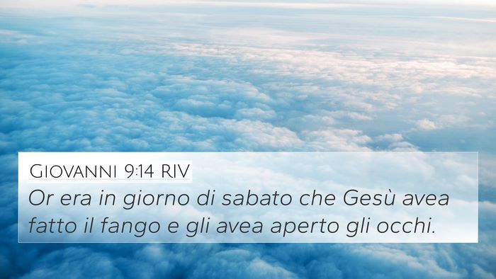 Giovanni 9:14 RIV Bible Verse Image