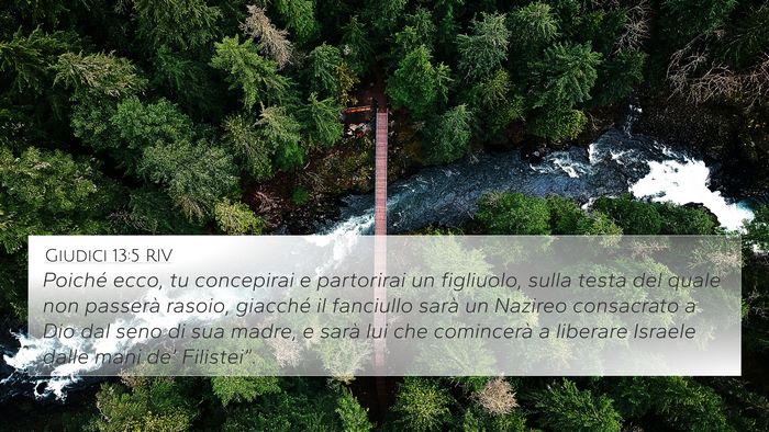 Giudici 13:5 RIV Bible Verse Image